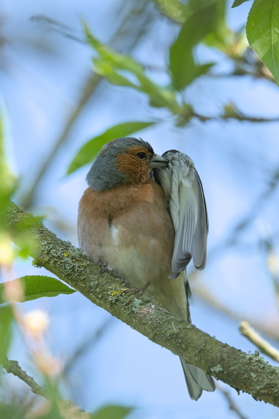 DSCF5183.jpg