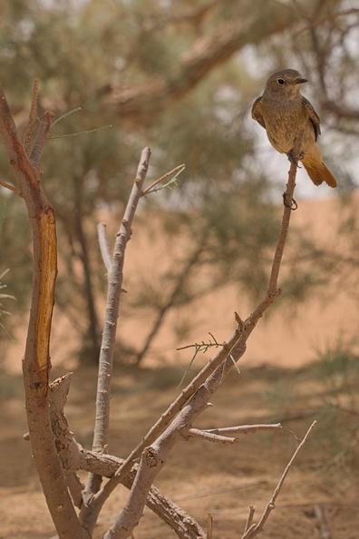 DSCF4160.jpg