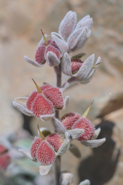 AA_16798.jpg