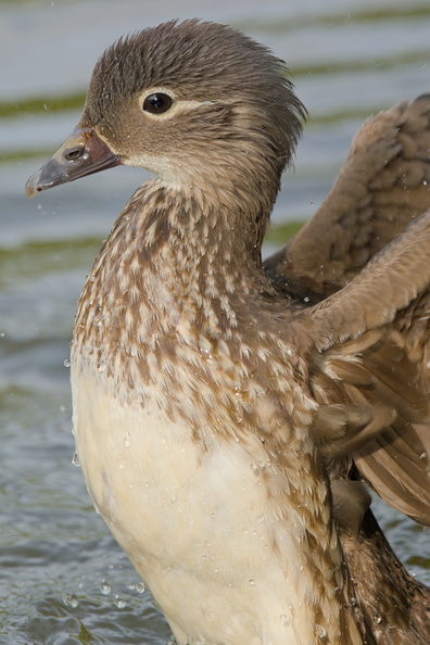 AA_8567.jpg