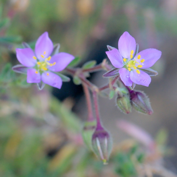AA_22606.jpg
