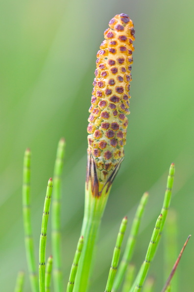 AA_22672.jpg