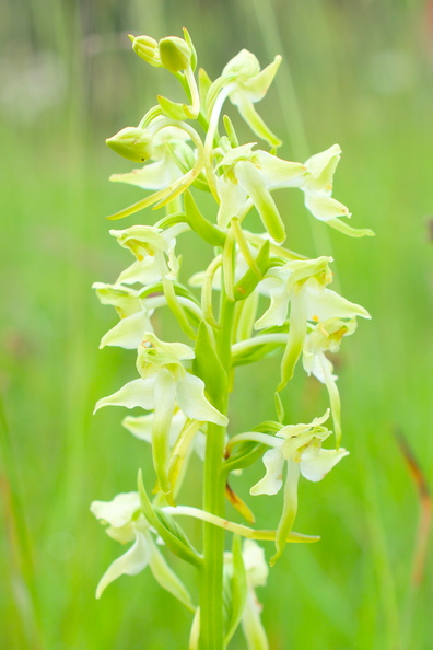 AA_22687.jpg