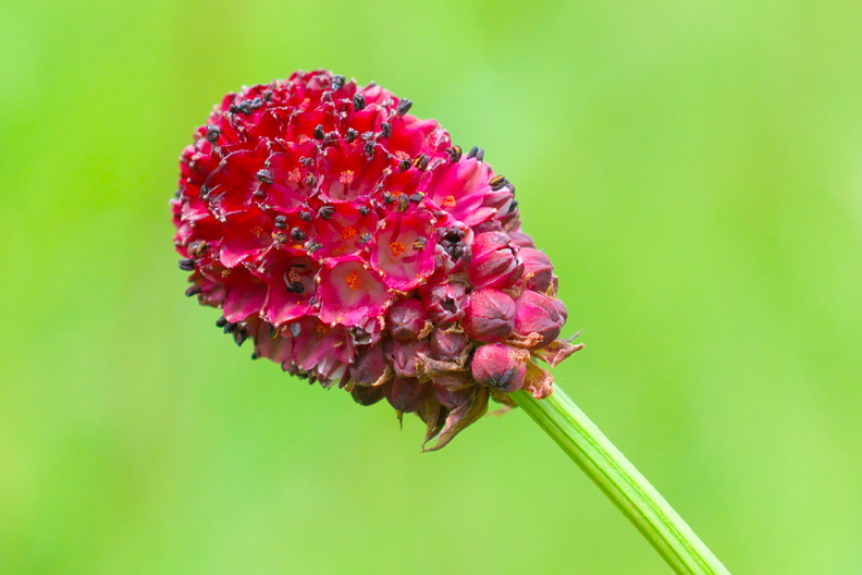 AA_22689.jpg