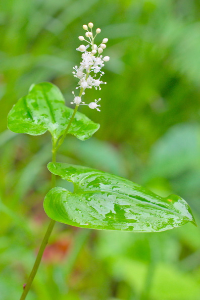 AA_22703.jpg