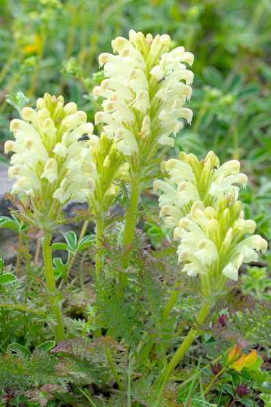 AA_22815.jpg