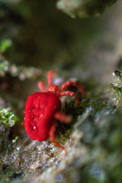 AA_25190.jpg