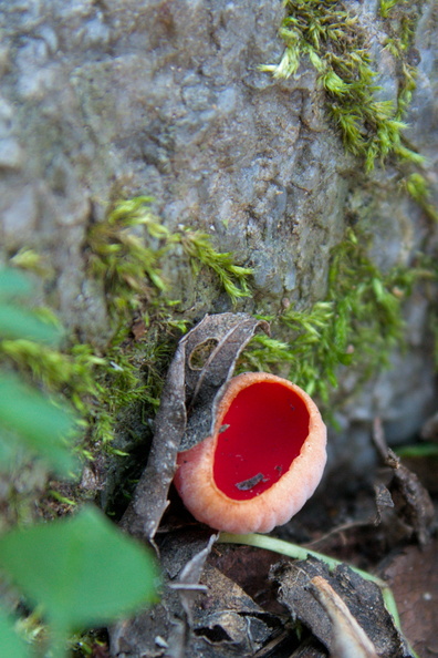 AA_27200.jpg