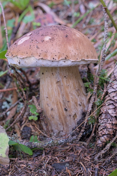 AA_27539.jpg