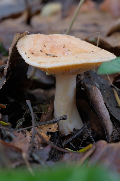 AA_26576.jpg