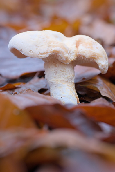 AA_26555.jpg