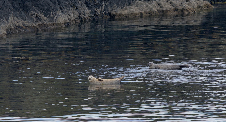 AA_28594.jpg