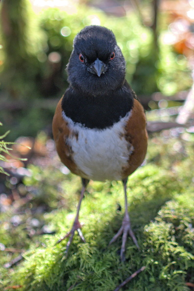 DSCF2350.jpg