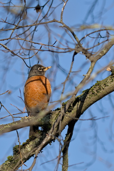 DSCF2873.jpg