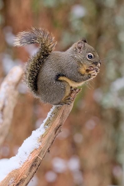 DSCF2945.jpg