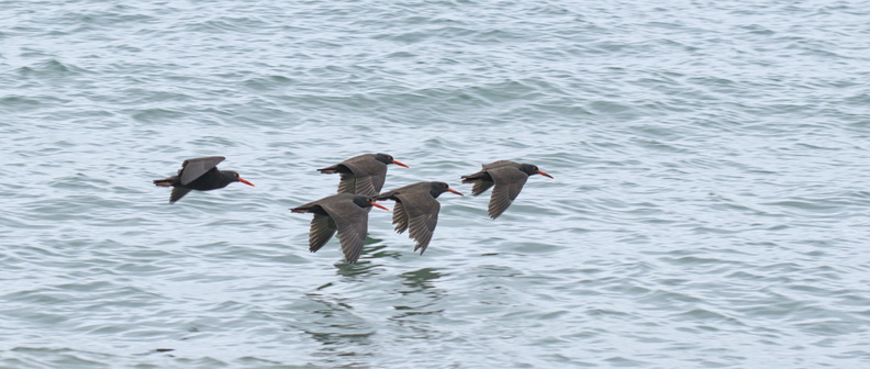 DSCF3076.jpg