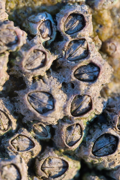 DSCF5023.jpg