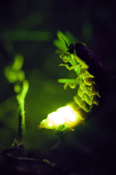DSCF5076.jpg