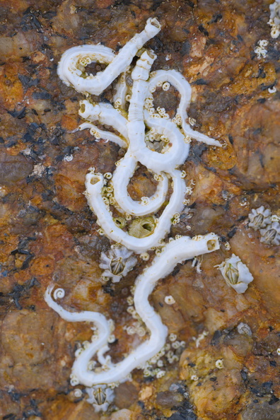 DSCF5865.jpg
