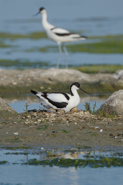 DSCF4648.jpg