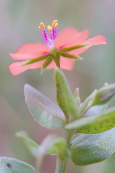DSCF5701.jpg