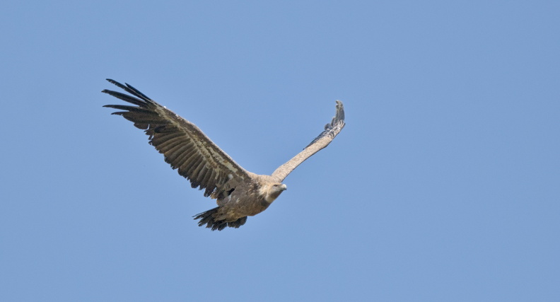 DSCF8086.jpg
