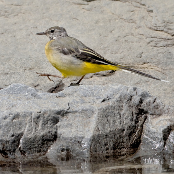 DSCF8134_1.jpg